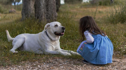 Illustration : Pour un enfant autiste et sa famille, le chien d'assistance ouvre littéralement de nouveaux horizons, révèle une étude