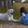 Illustration : Pour un enfant autiste et sa famille, le chien d'assistance ouvre littéralement de nouveaux horizons, révèle une étude