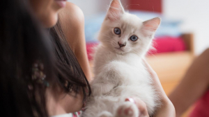 Illustration : 10 signes qui prouvent que votre chat vous porte dans son coeur