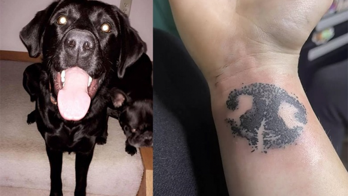 Une femme perd son chien subitement et décide de lui rendre hommage avec un  tatouage des plus touchant