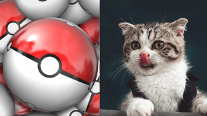 Illustration : 20 noms pour chat inspirés de l’univers Pokémon