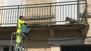 Illustration : Ils aperçoivent un chien bloqué sur son balcon en pleine chaleur, les agents municipaux lui viennent en aide