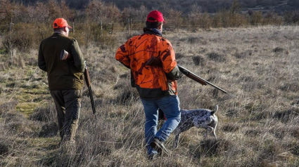 Illustration : L'association PETA désavoue un refuge refusant aux personnes pro-armes à feu d'adopter un animal de compagnie