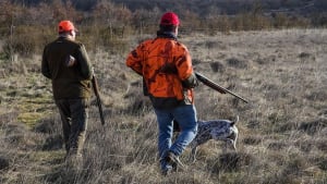 Illustration : L'association PETA désavoue un refuge refusant aux personnes pro-armes à feu d'adopter un animal de compagnie