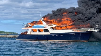 Illustration : 2 chiens et leurs maîtres bloqués sur leur bateau en flamme : ils sautent à l’eau pour s’échapper