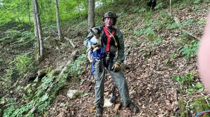 Illustration : Plusieurs équipes de sauvetage mobilisées pour sauver un chien sénior tombé dans un gouffre