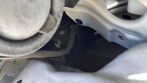 Illustration : Un chaton survit à un trajet de 40 km sous le capot d'une voiture, un mécanicien en démonte tout l'avant pour le secourir