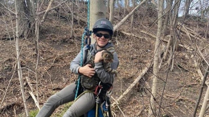 Illustration : Un chat perché à 15 mètres au-dessus du sol dans un arbre pendant plus de 24 heures secouru par un arboriculteur