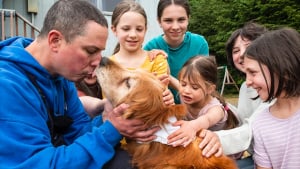 Illustration : "Une Golden Retriever aveugle et âgée retrouve sa famille après 3 semaines d’errance"