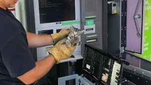 Illustration : Les pompiers tentent de libérer un chaton prisonnier d'un distributeur de billets