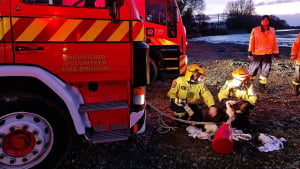 Illustration : Un chien et son maître piégés au milieu de la rivière sur le toit de leur pick-up sauvés in extremis par les pompiers