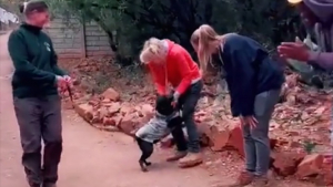 Illustration : La vidéo émouvante d’un chien qui dit au revoir aux membres du refuge qui ont pris soin de lui durant 6 longues années