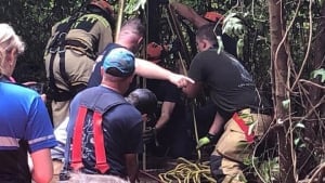 Illustration : Une chienne fait une chute de 10 mètres dans un puits et survit en nageant sur place avant que les secours n’interviennent