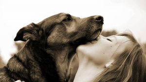Illustration : Hommage au chien, meilleur ami de l’Homme, à l’occasion de la Journée internationale de l’Amitié 