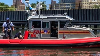 Illustration : Les pompiers secourent un chien jeté sans ménagement d’un pont dans la rivière Harlem