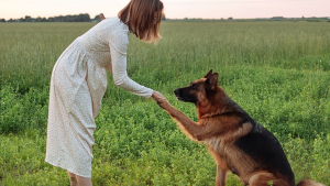 Illustration : Une femme vit 4 mois avec la chienne d’un autre suite à une erreur de son toiletteur canin