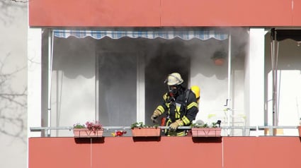 Illustration : Un chien sauvé d’un incendie d’appartement à Mondonville près de Toulouse