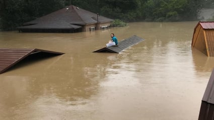 Illustration : Piégée par les inondations, une adolescente fait de son mieux pour garder son chien hors de l'eau en attendant les secours