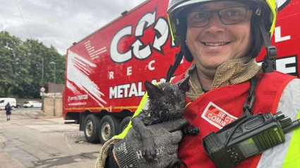 Illustration : Un chaton sauvé in extremis d’un incendie est adopté par un des pompiers