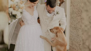 Illustration : Un chien errant boiteux s'invite à un mariage, le couple prend une décision inattendue à son sujet