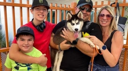 Illustration : Le Husky enfermé dans une voiture pendant que son maître jouait au casino a trouvé une nouvelle famille