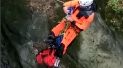 Illustration : La vidéo du sauvetage d’un chien tombé de 50 mètres de haut dans un canyon de Savoie