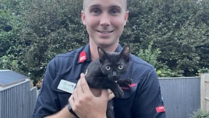 Illustration : Un chat endeuillé renoue avec le bonheur grâce au pompier qui était intervenu chez son défunt propriétaire