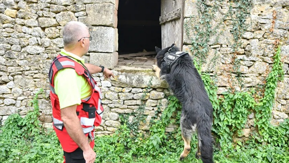 Illustration : "Des maîtres-chiens bénévoles à la recherche active d’un homme disparu en Dordogne"