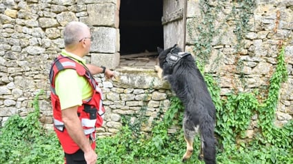 Illustration : Des maîtres-chiens bénévoles à la recherche active d’un homme disparu en Dordogne