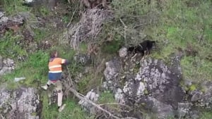 Illustration : 2 jours d’angoisse pour ces maîtres avant de retrouver leur chienne qui s’était enfuie lors d’un orage (vidéo)