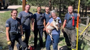 Illustration : Un chien se faufile dans un conduit souterrain et s'y coince, les pompiers constituent l'unique espoir de sa famille