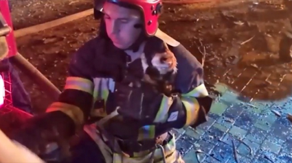 Illustration : Des pompiers ukrainiens sauvent un chaton piégé dans un hôtel-restaurant en feu à Kharkiv