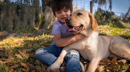 Illustration : Un Labrador Retriever aide un enfant aveugle à surmonter son handicap et à aimer la vie