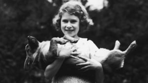 Illustration : 18 superbes photos illustrant l'amour que portait la reine Elisabeth II pour ses chiens