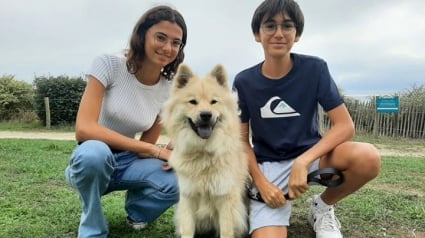 Illustration : Une jeune fille de 17 ans touchée par la cause animale organise un événement pour leur venir en aide