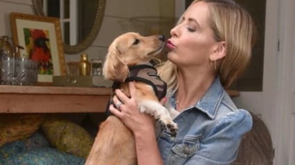 Illustration : Sarah Michelle Gellar n’avait aucune intention d’adopter un autre chien, mais son amour pour les animaux a été plus fort