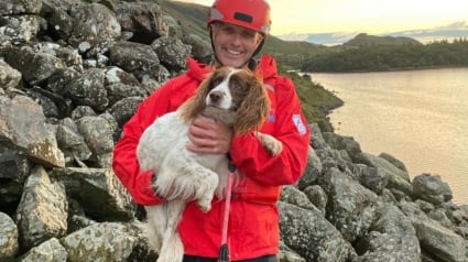 Illustration : Une mission de 3 heures pour secourir un chien tombé malade en pleine escalade et ses maîtres