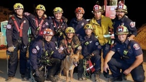 Illustration : Un chien aveugle tombé dans un trou de près de 5 mètres de profondeur sur un chantier de construction sauvé par les pompiers (vidéo)