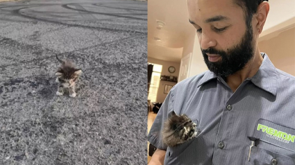 Illustration : Un homme qui n’appréciait pas la compagnie des chats se laisse finalement attendrir par un petit être sans défense découvert lors de son jogging