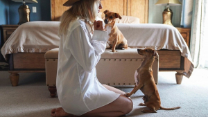 Illustration : Dans son nouveau numéro, le show "La Touche Animale" s’intéresse au monde de la Pet Influence avec des invités canins de marque