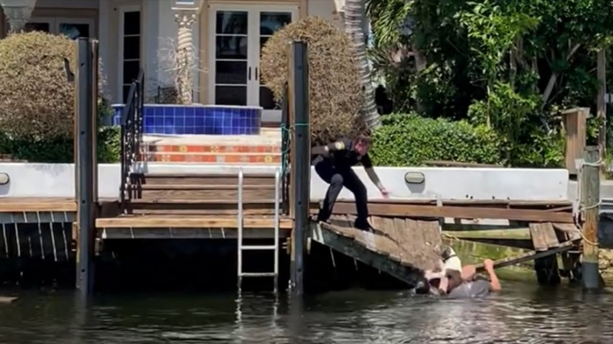 Illustration : "Un chien fugueur au bord de la noyade dans un canal sauvé par des policiers (vidéo)"