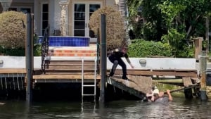 Illustration : Un chien fugueur au bord de la noyade dans un canal sauvé par des policiers (vidéo)