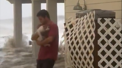 Illustration : La vidéo d’un homme qui sauve un chat en péril durant la montée des eaux de la tempête Ian