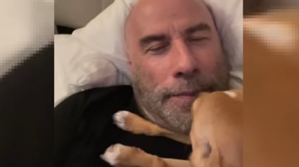 Illustration : La vidéo adorable montrant le chien de John Travolta, adopté au refuge, le réveiller tendrement