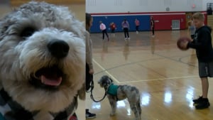 Illustration : Un chien de thérapie à l'école pour encourager les élèves en cours d'éducation physique