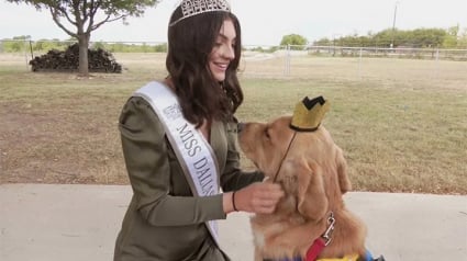 Illustration : Allison Appleby est la première femme à avoir été élue Miss avec son chien d’assistance à ses côtés