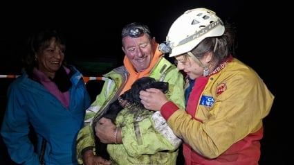 Illustration : Opération de sauvetage à haut risque pour secourir une chienne tombée entre des rochers menaçant de s’effondrer