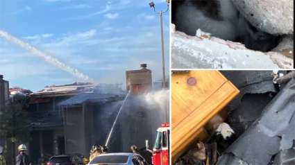 Illustration : Une femme retrouve ses 2 chats vivants dans son logement détruit par un incendie alors que les pompiers lui avaient signalé qu’ils étaient décédés (vidéo)