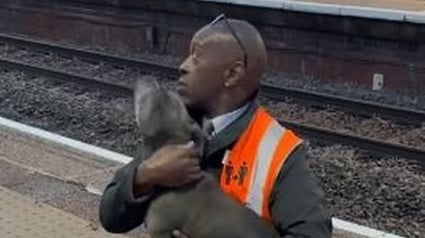 Illustration : Un chien saute sur les rails dans une gare alors qu’un train arrive : un homme intervient sans se poser de question