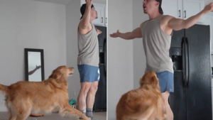 Illustration : Cette vidéo montrant la réaction d'une chienne que son propriétaire feint de ne pas voir vous mettra de bonne humeur
